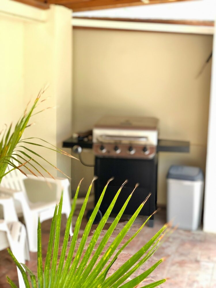 Фото Little Jungle Apartments Aruba