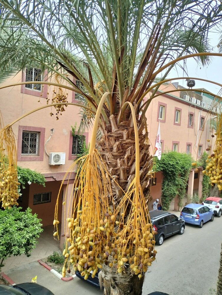 Фото Riad Green Lotus