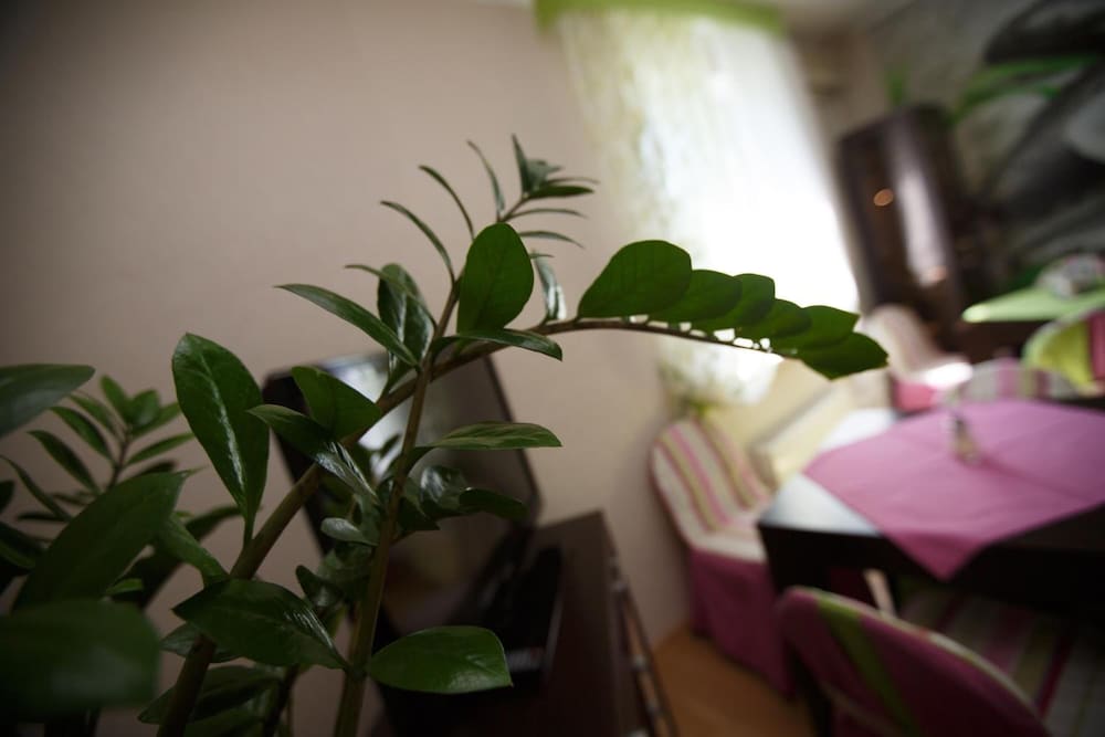 Фото Вояж Парк