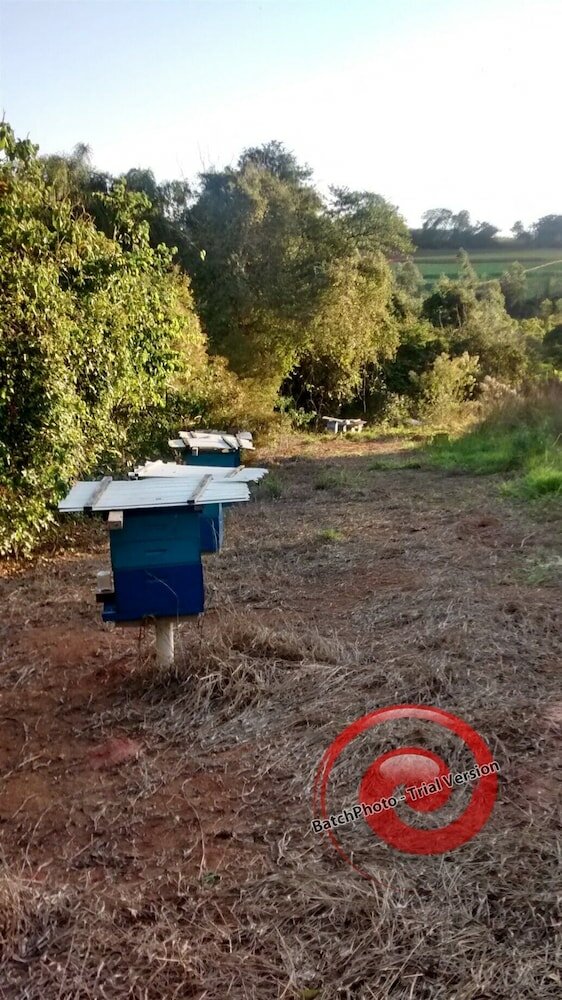 Фото Hirondelle Paraíso