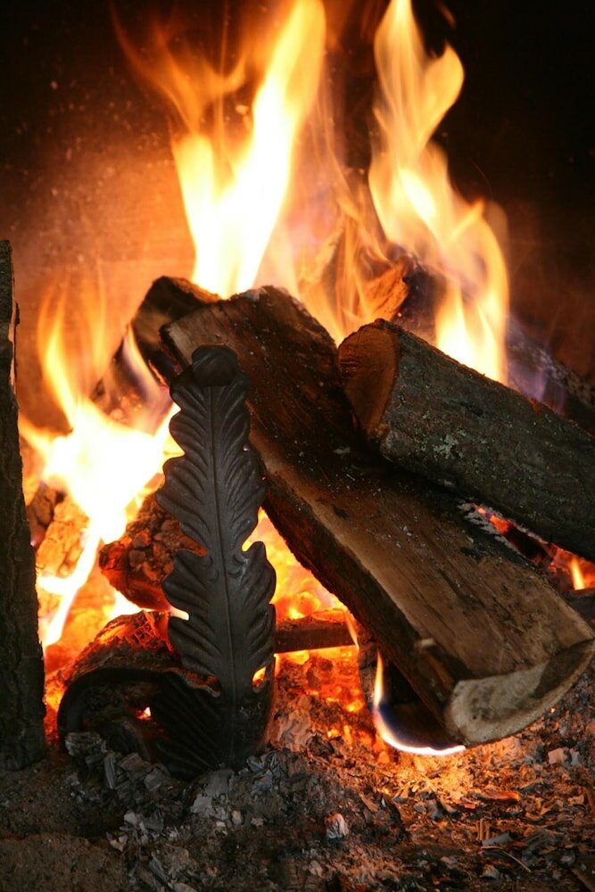 Фото Festa Winter Palace