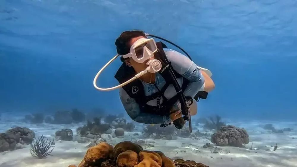 Фото Magnífica Mansão à 50m da praia de Barequeçaba para até 18 pessoas