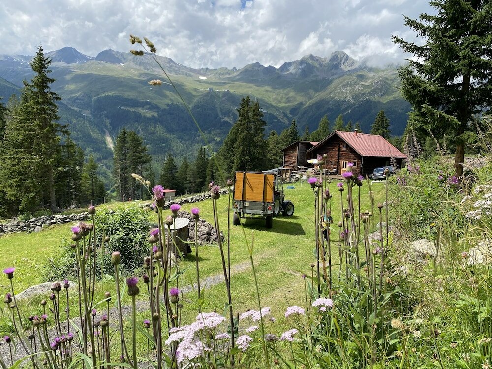 Фото A Casa Juwel - Ski in & Out Appartements