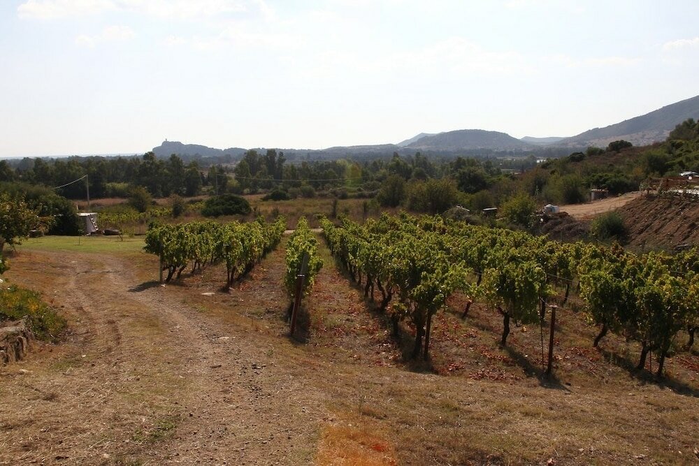 Фото Agriturismo B&b Sa Inza