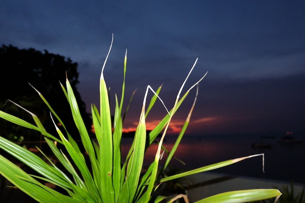 Фото The Boardroom Beach Bungalows