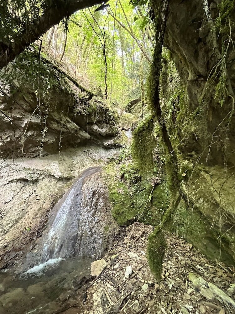 Фото Il Borgo Incantato