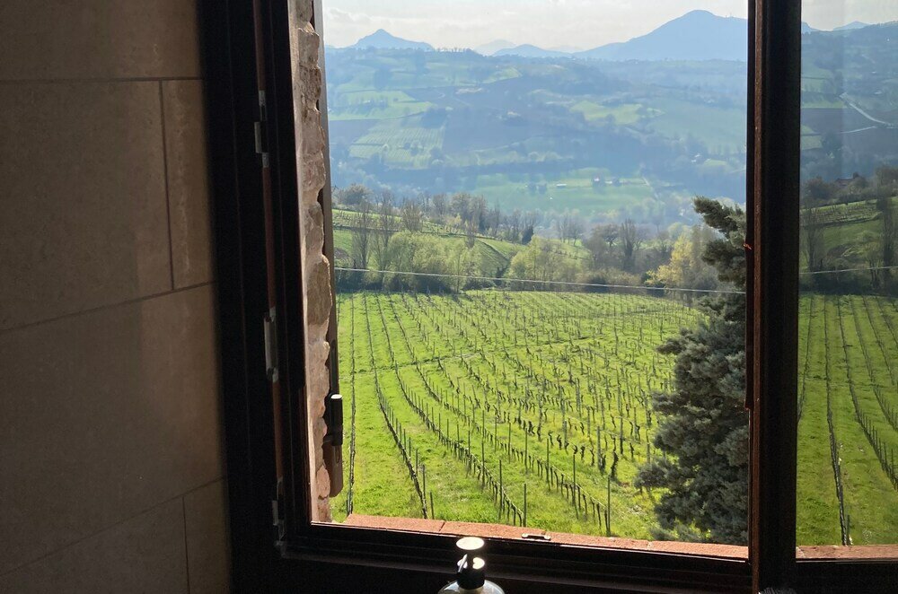 Фото Villa Verdicchio - B&b for winelovers
