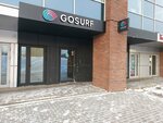 Gosurf (Nizhny Susalny Lane, 5с19), sports equipment 