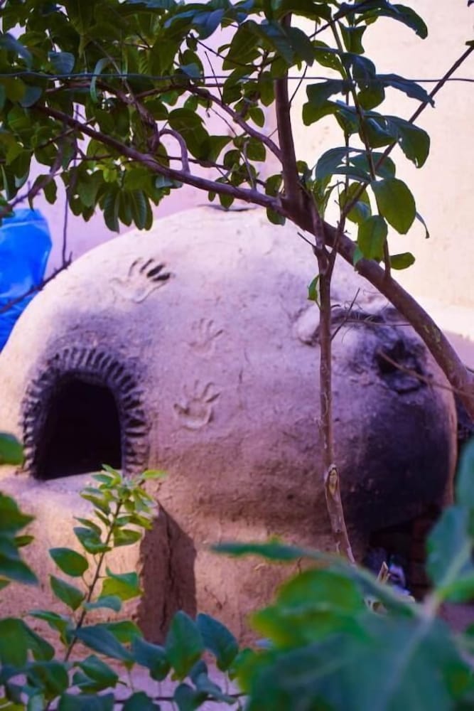 Фото Pharaonic Rose