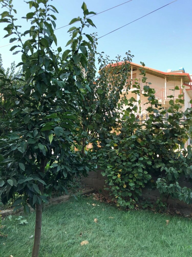 Фото Hotel Villa Ago