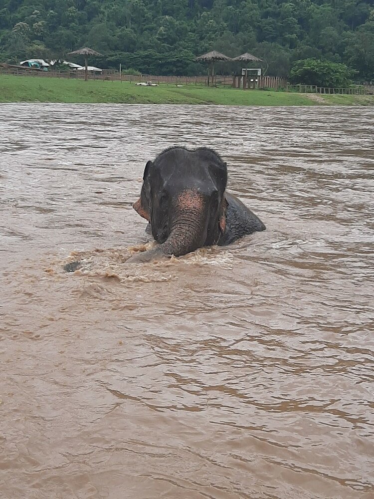 Фото Guesthouse Liam's Suan Dok Mai