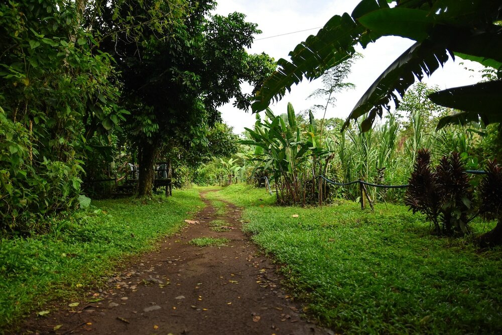 Фото Chilamate Rainforest Eco-retreat
