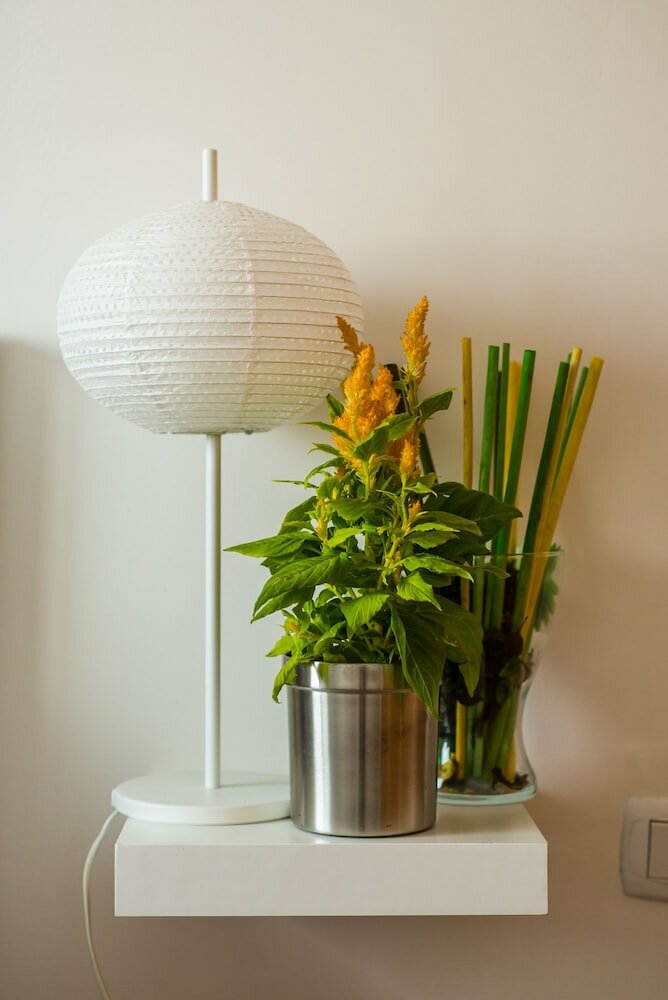 Фото Bhavana Surf House - Hostel