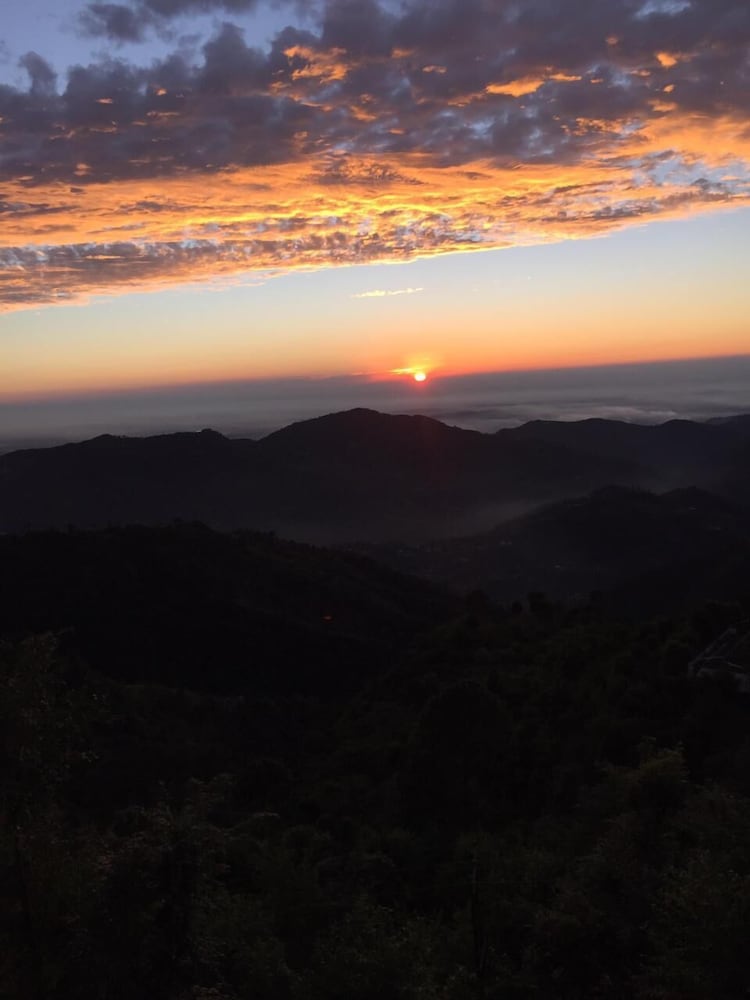 Фото The Bryll Homes