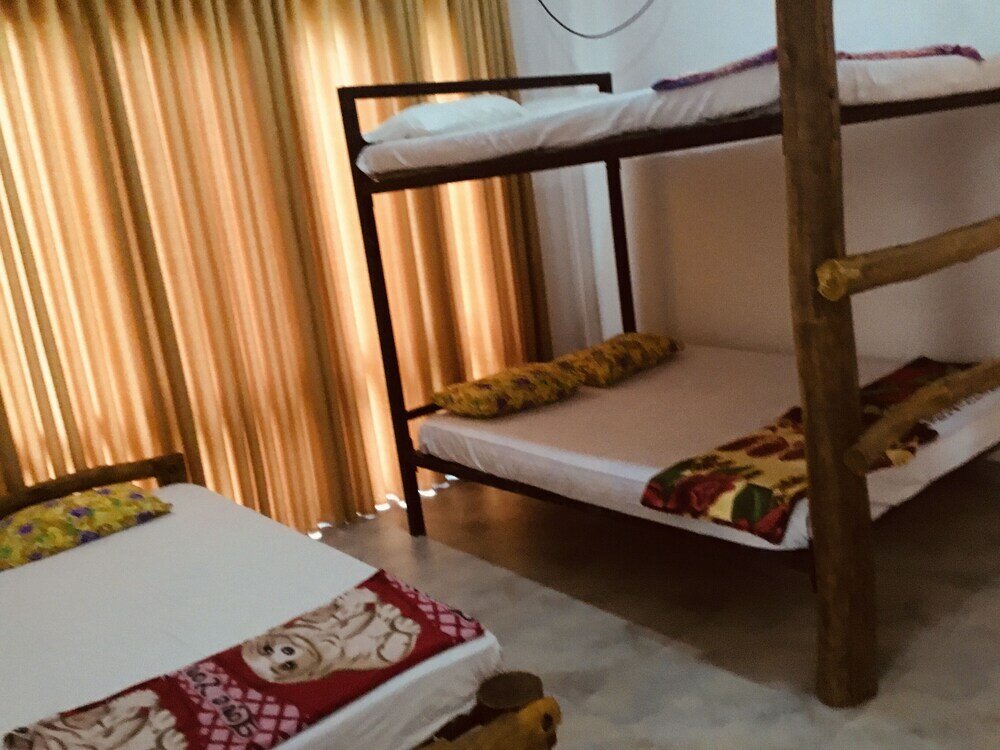 Фото Jungle City Hostel