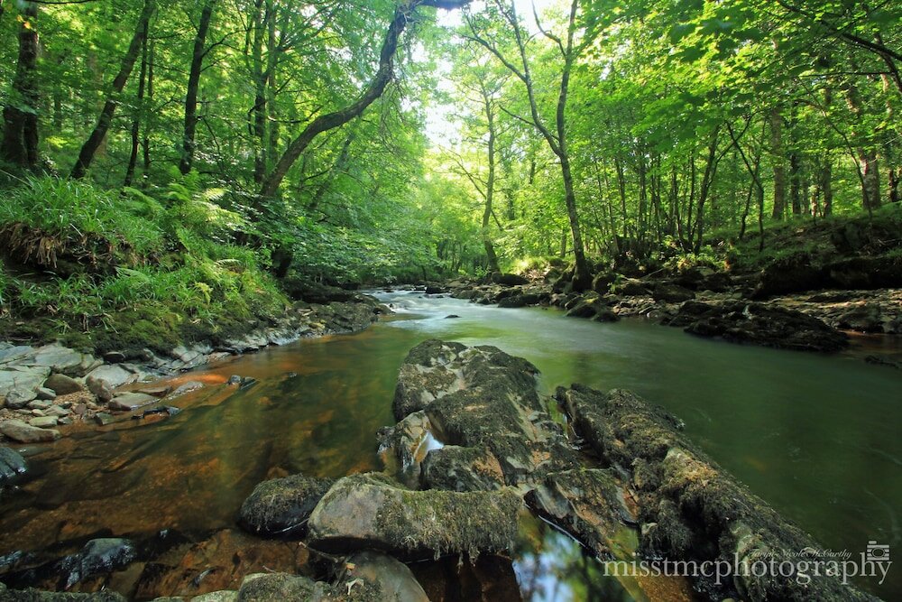 Фото Dartmoor Reach Alpaca Farm