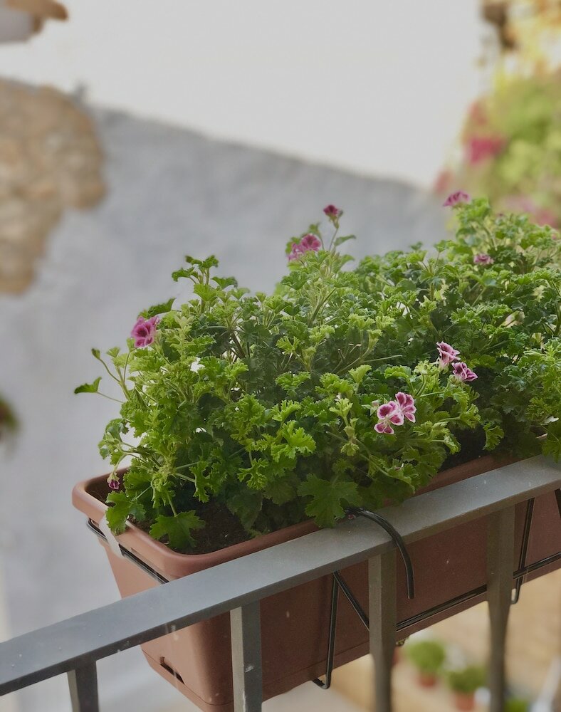 Фото Hotel Ábaco Altea