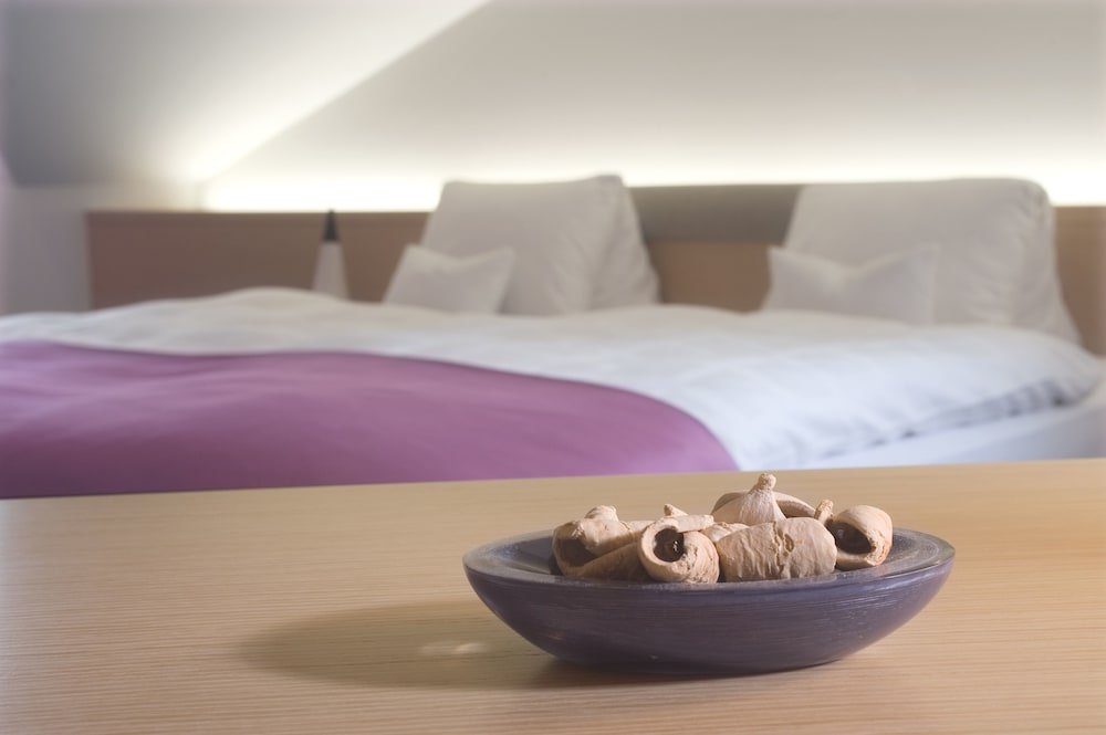 Фото Hotel Schutzen Rheinfelden