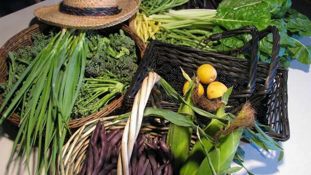 Фото Sasquatch Crossing Eco Lodge B&b