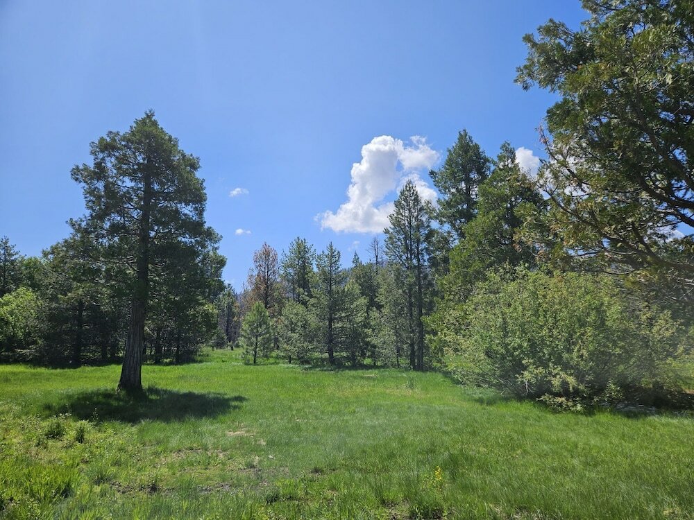 Фото The Black Forest Lodge