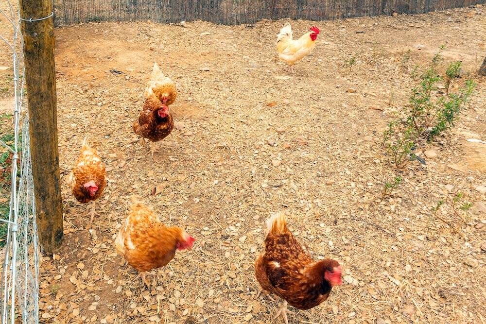 Фото Reflexos d'Alma Turismo Rural