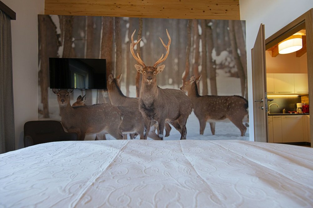 Фото Appartement Dorf Wagrain Alpenleben