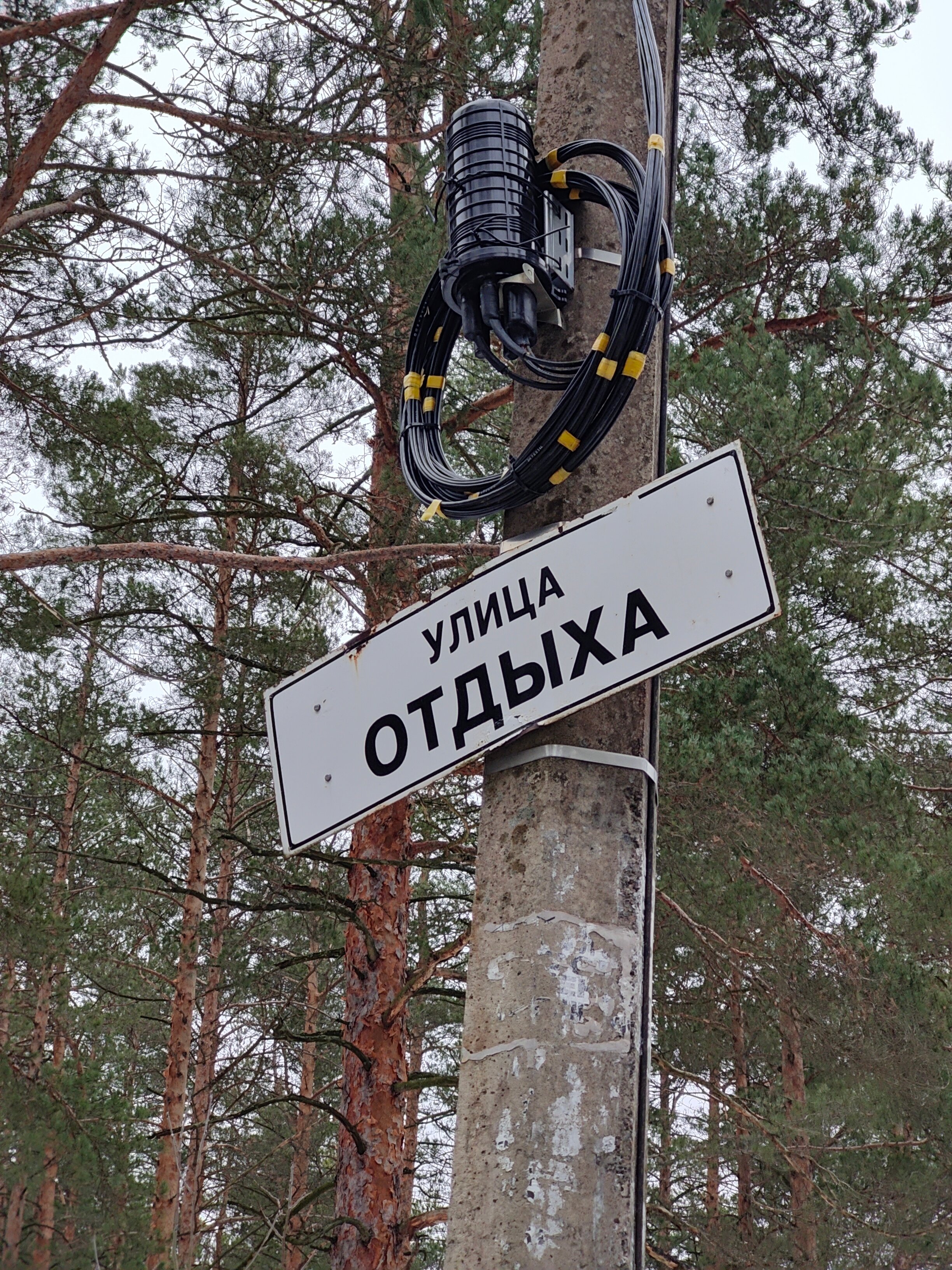 Фото Комарово