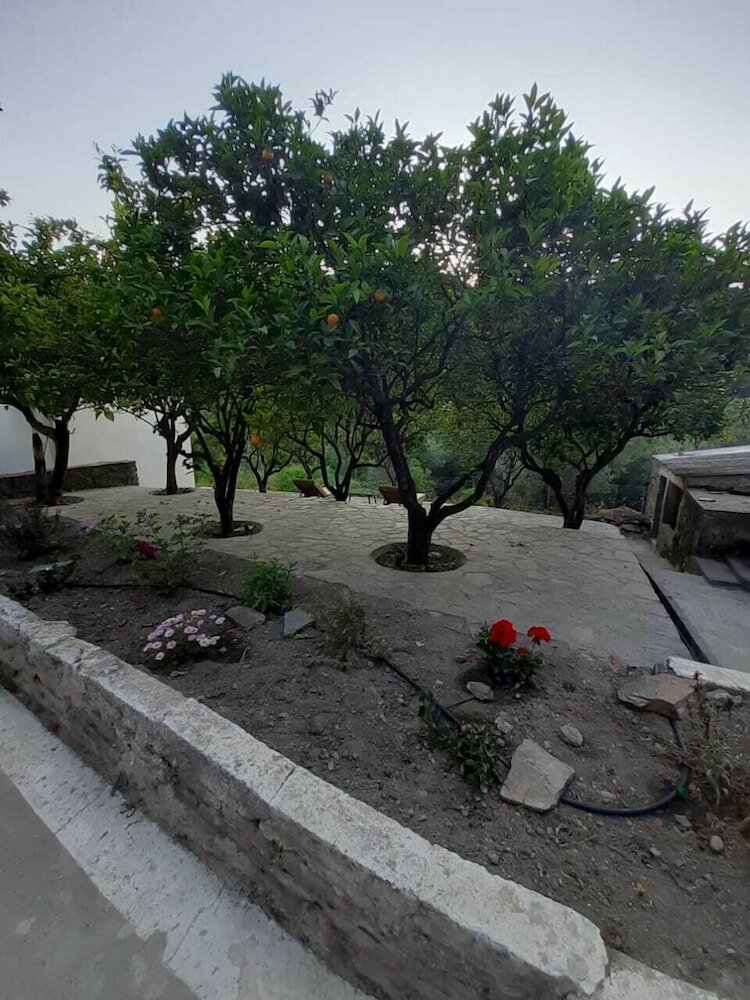 Фото Diamoni Afroditi