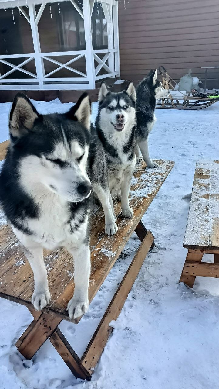 Фото Аляска
