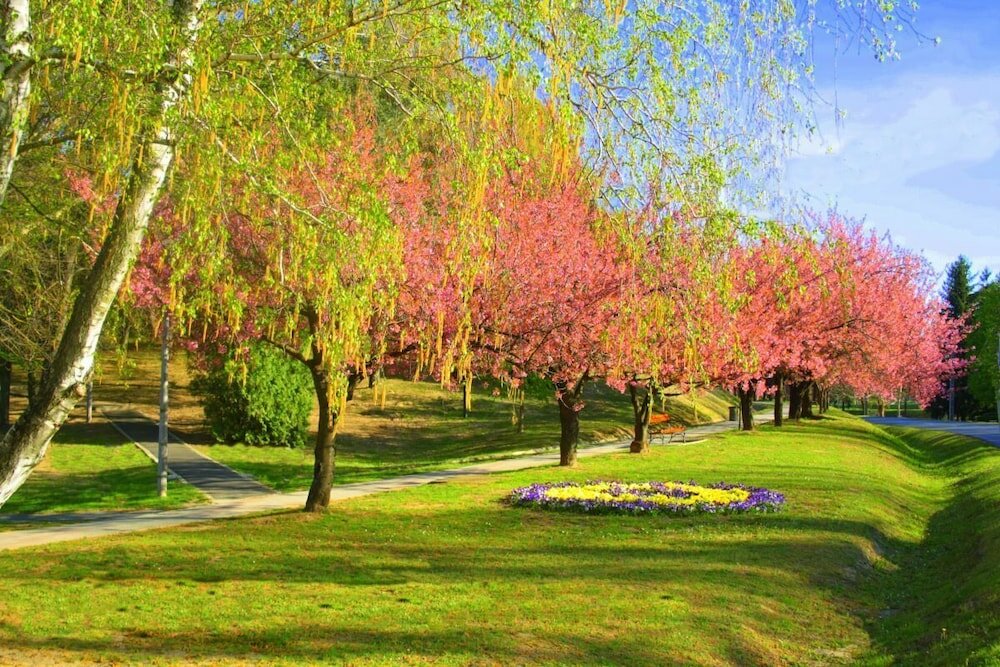 Фото Hotel Napfény