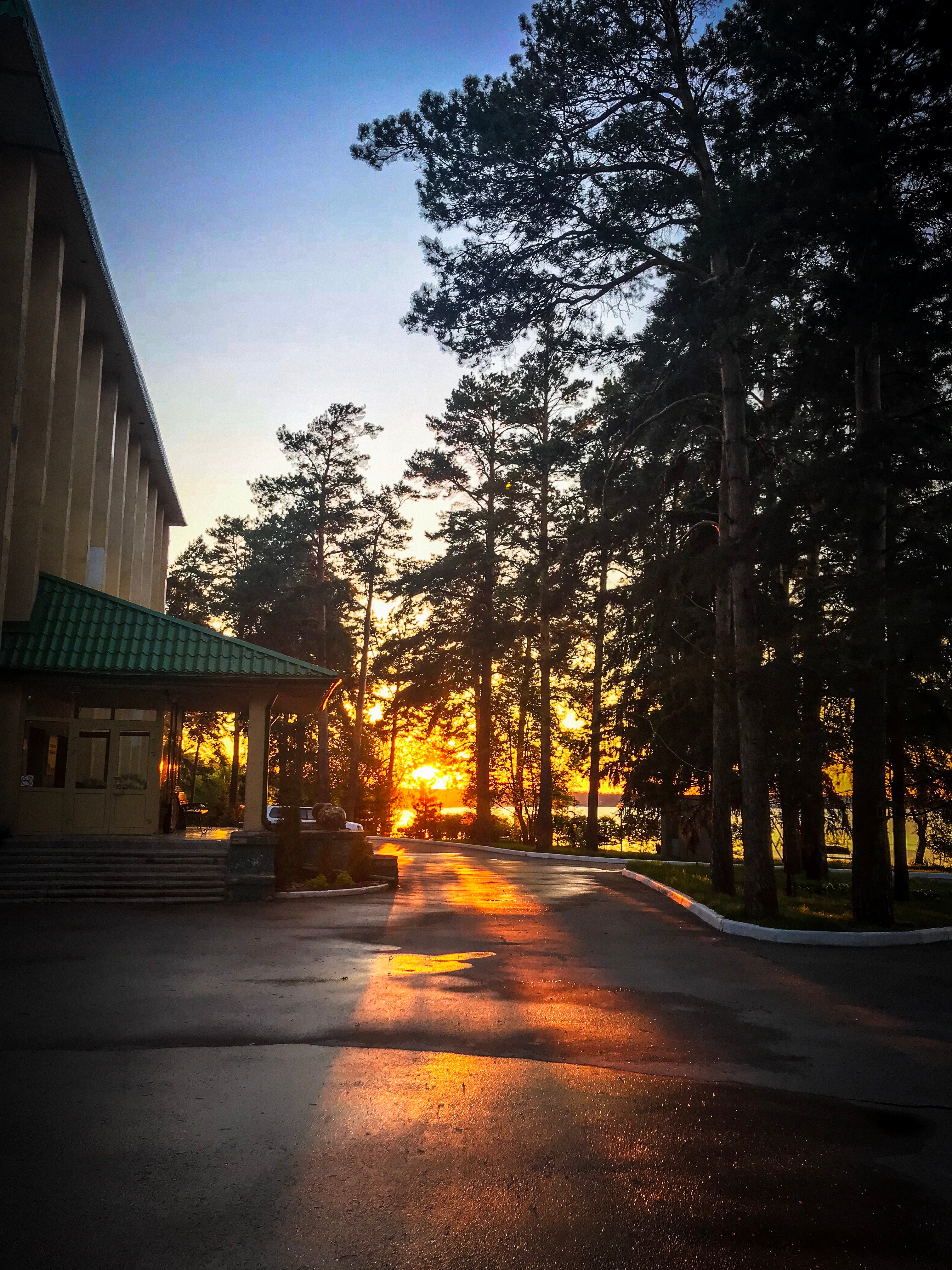 Фото Лесная сказка