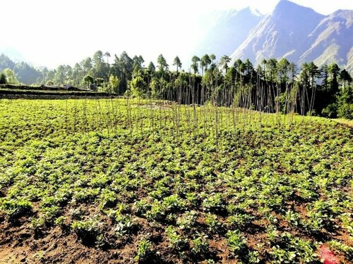 Гостиница Lukla Airport Resort, Lukla в Сагарматхе