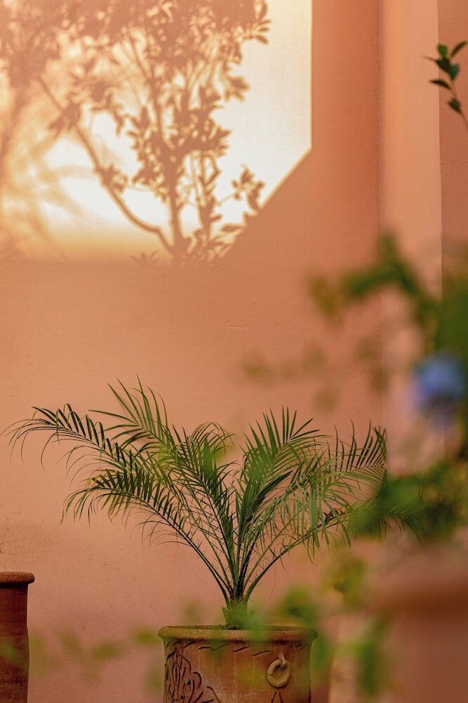 Фото Hotel Riad Chami