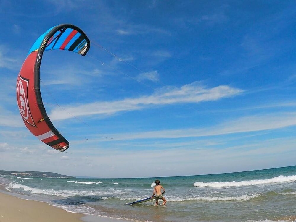 Фото Weißer Schwan