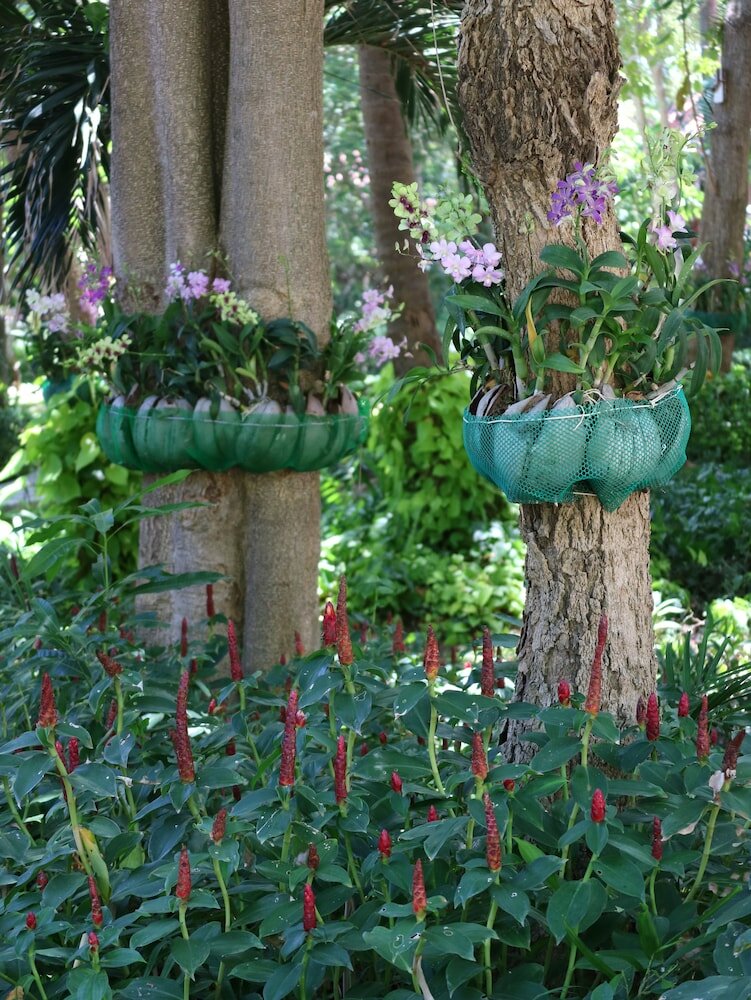 Фото Palita Lodge