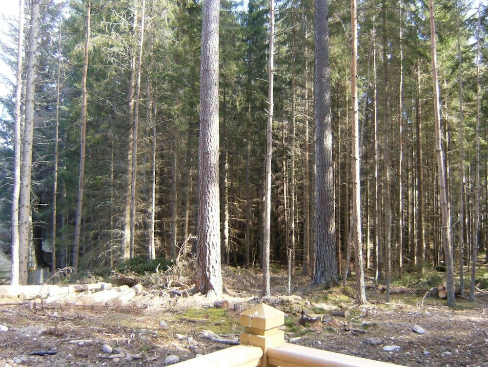 Фото Cairngorm Lodges