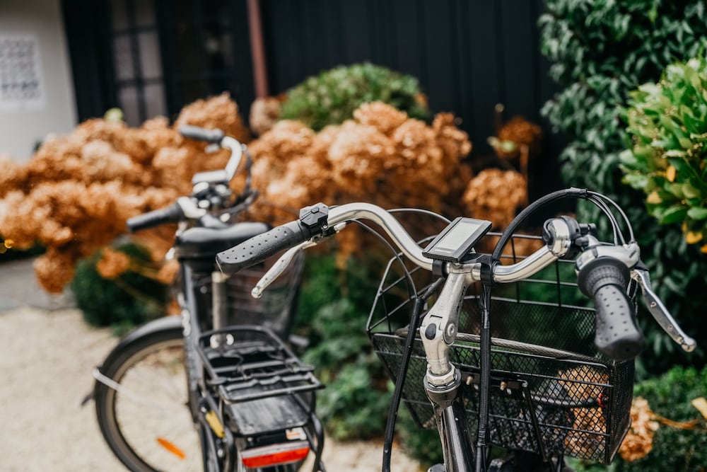 Фото Les Pins De Cesar