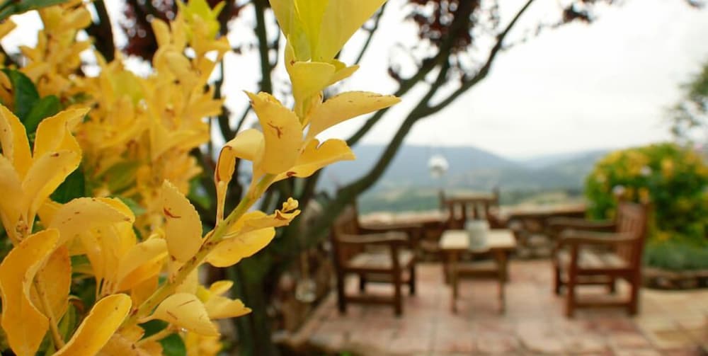 Фото Puig-arnau Pubilló Poble Rural