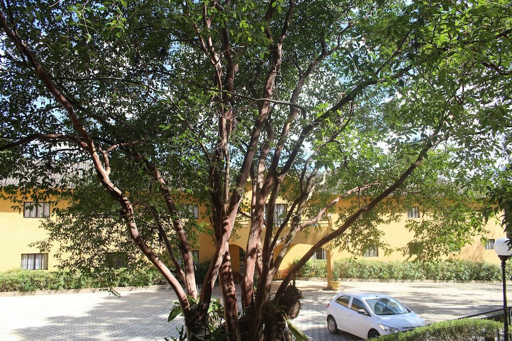 Фото Paradies Hotel Express