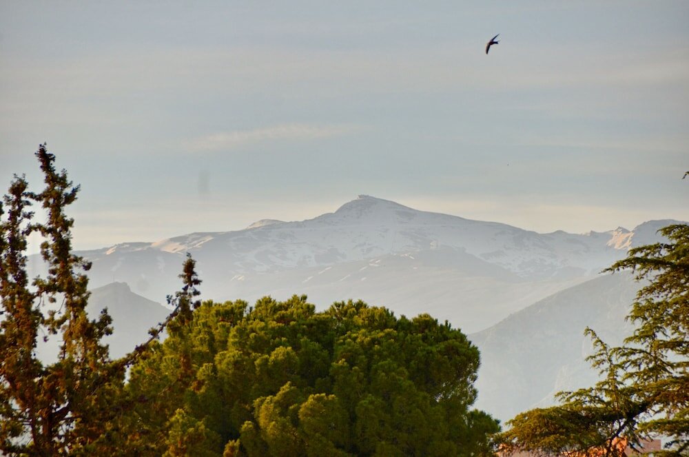Фото La Corrala del Realejo
