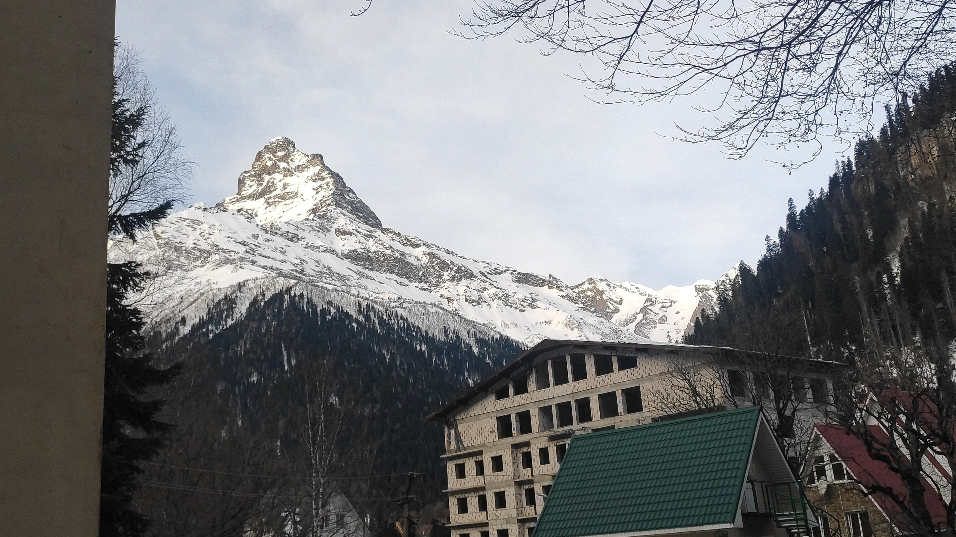 Фото Звёздный