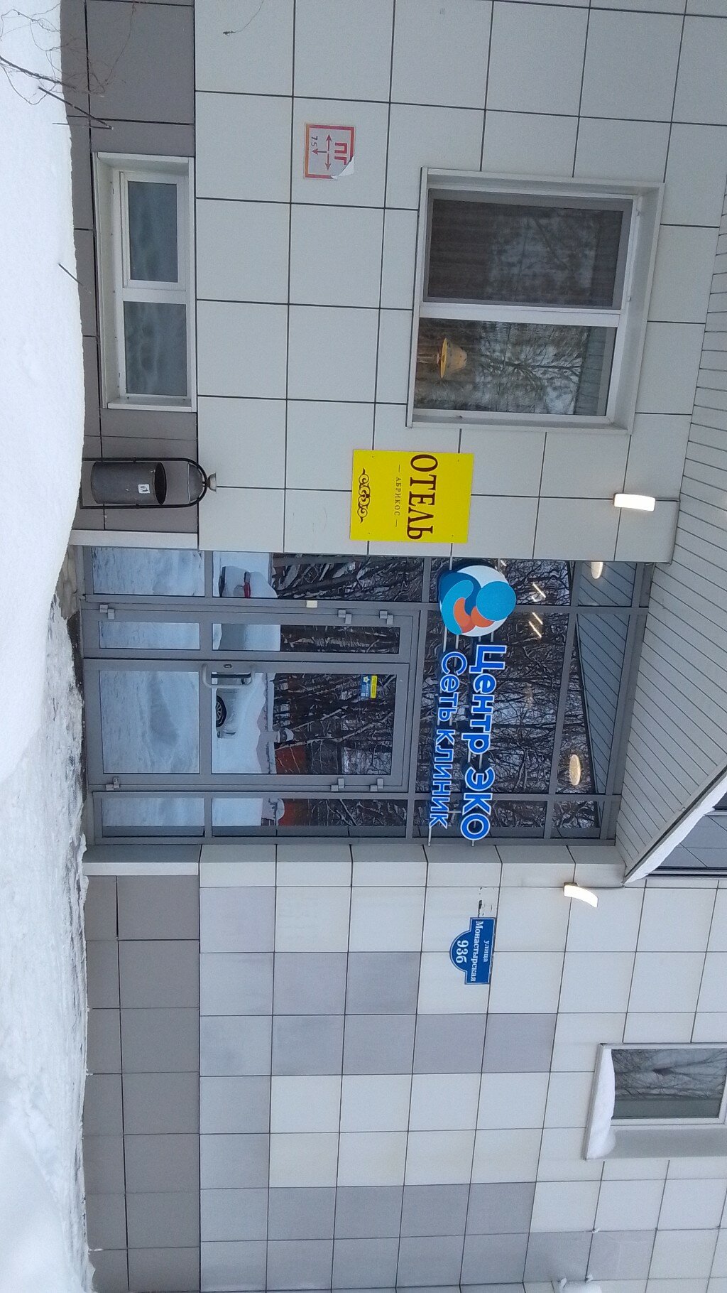 Фото Абрикос