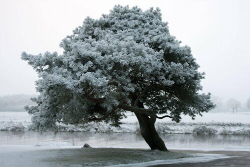 Внешний вид отеля Mooirivier в Дафлсене, фото 4