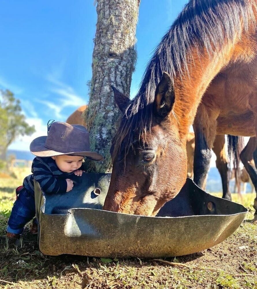 Фото Rancho Sol Poente - Rancho Queimado