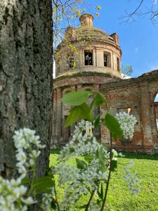 Церковь Николая Чудотворца (Калужская область, Юхновский район, сельское поселение Плоское, деревня Ольхи), православный храм в Калужской области