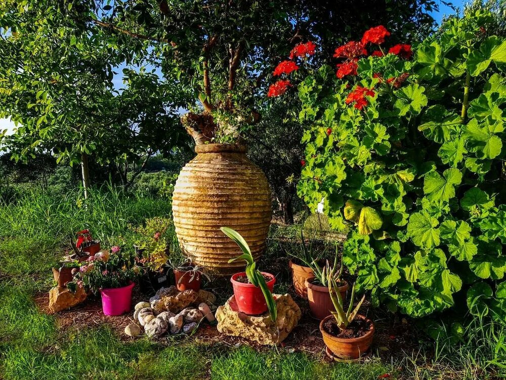 Фото Marianos Apartments