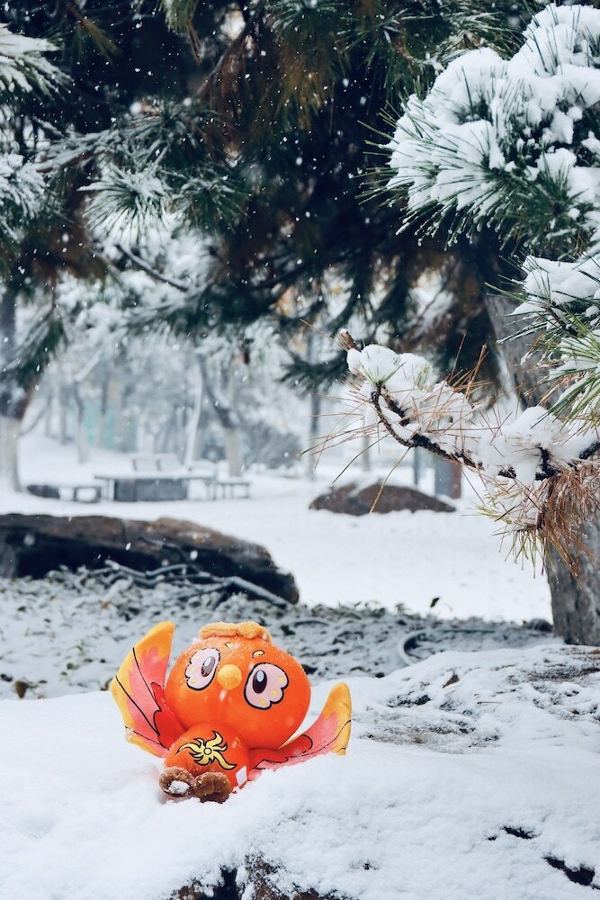 Фото Shangri-La Shenyang