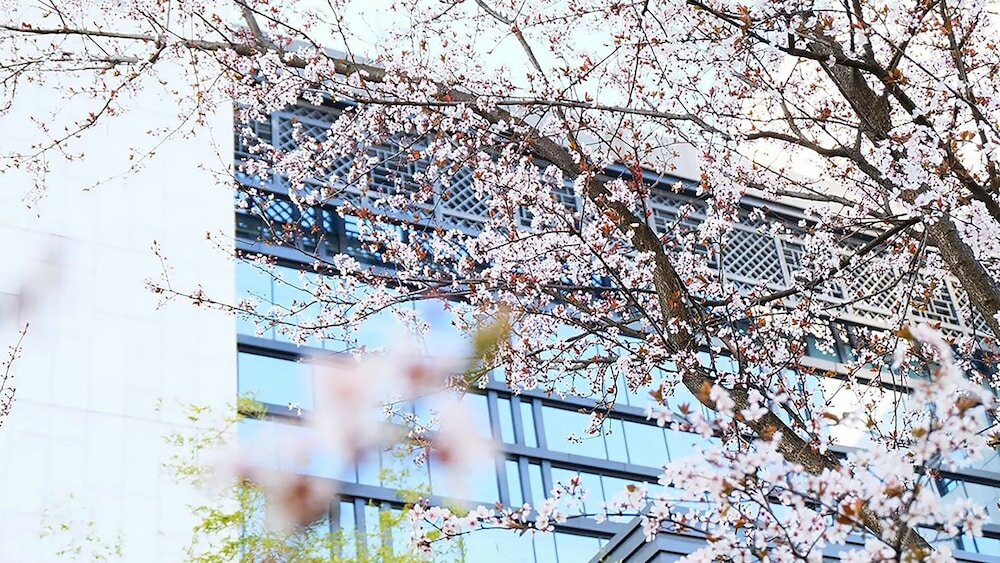 Фото Crowne Plaza Huangshan Yucheng