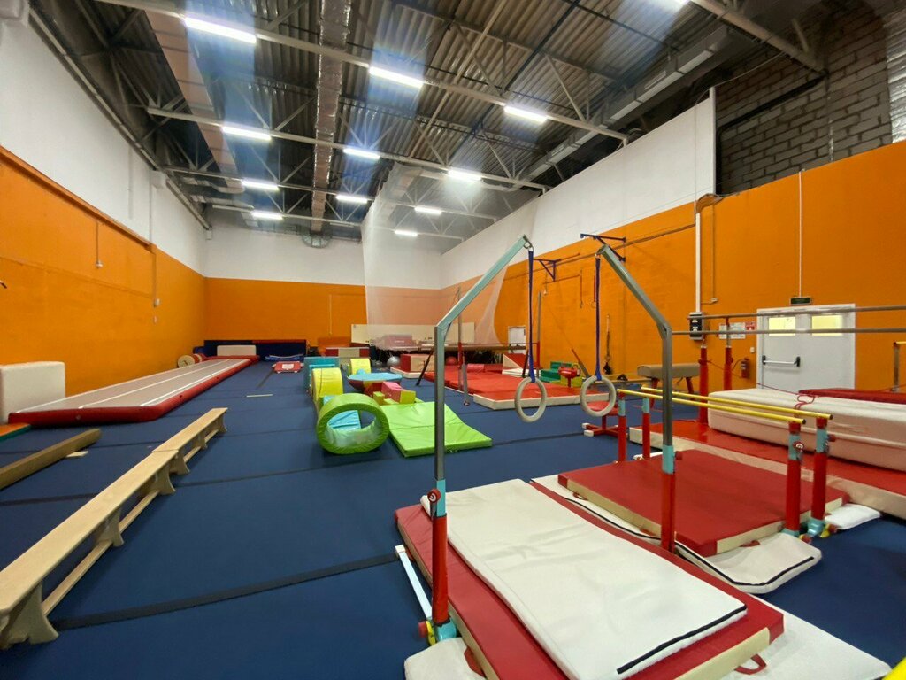 Sports club European Gymnastics Center, Mytischi, photo