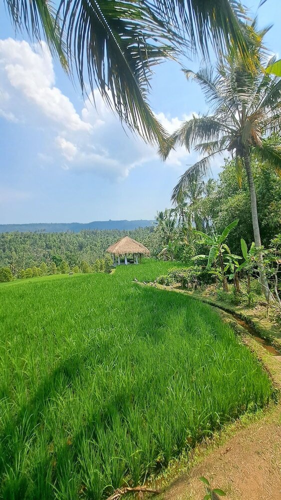 Фото Bali De Pardis Cottage